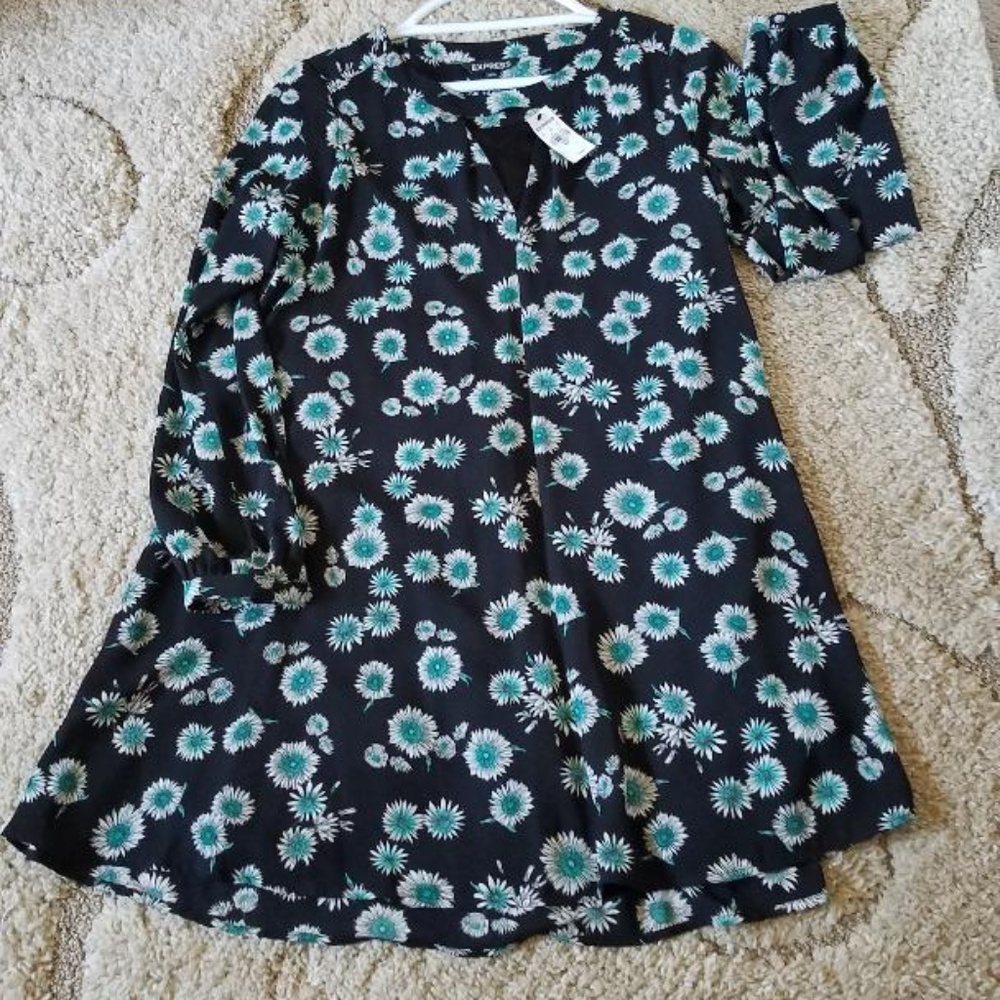 Express  dress - Picture 7 of 7